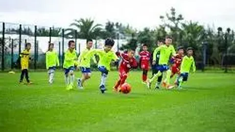 金年会体育6676网页版 产品 120242 20b