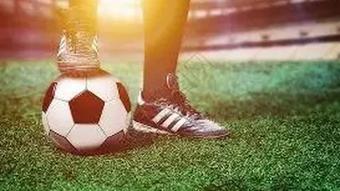 金年会体育6676网页版 资讯 121301 7mj