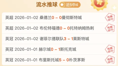 里贝里加盟意甲新贵萨勒尼塔纳队