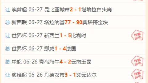 女网红偷税案后续：300万罚款后神秘重生，其复出之路